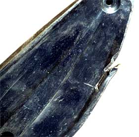 Polaris Plastic Ski